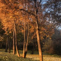Осенний парк :: Евгения Каравашкина