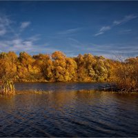 "Рябь с рефлексом на воде. Протока в октябре"© :: Владимир Макаров