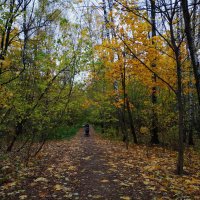 Октябрь в парке :: Андрей Лукьянов