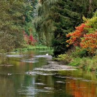 Осенняя  река  Пегнитц ! :: backareva.irina Бакарева