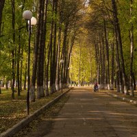 Осень в парке. :: Андрей Андрианов