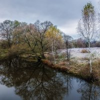 Морозное утро :: Серый 