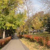 Осень в Струковском саду :: марина ковшова 