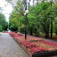 Осень в парке. :: tatiana 