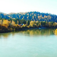 осень на реке Лебедь.3 :: михаил Архангел