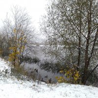 Первый снег... :: Анатолий Колосов