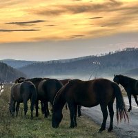 На закате дня :: Лариса 