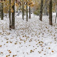 Первый снег в октябре :: Валерий Иванович