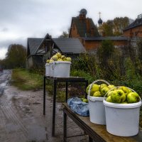 Осенние яблочки :: Алексей Окунеев