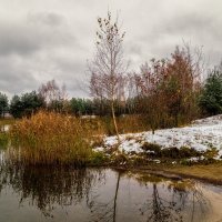 Осенний снег :: Андрей Дворников