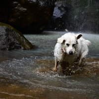 Водные игры :: Светлана 