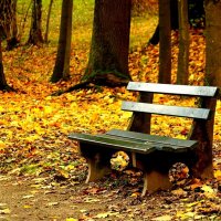 Осенняя скамейка :: Юрий. Шмаков