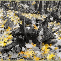 Нечисть накануне All Hallows’ Day. :: Сеня Белгородский