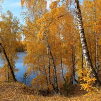 Златокудрая красавица осень :: tamara kremleva