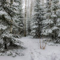 Начало сказки :: Евгений 