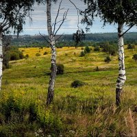 У трёх берёз... :: Владимир Шошин