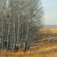 Первый снег :: Дмитрий Конев