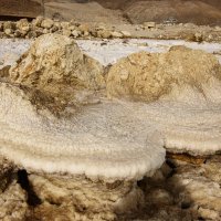Соль Мёртвого моря :: Осень 