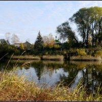 Осенние зарисовки в ярославской сторонке-1 :: Юрий Велицкий