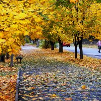 Осенний пейзаж :: Юрий Гайворонский