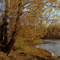Осенний берег :: Нэля Лысенко