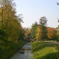 Осень в Александровском парке. :: Ольга 