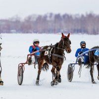 Бега :: SanSan 