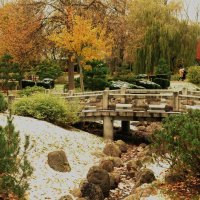 Каменные мосты в Японском саду :: Aida10 