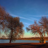 Пейзаж с берегом тихого озера :: M Marikfoto