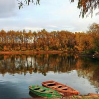 В затонах реки Уфимка. :: Николай Рубцов