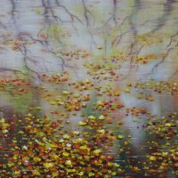 Осенние листья на мокром асфальте. :: Нина Сироткина 