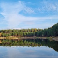 Лес в озере :: swetalana Timofeeva