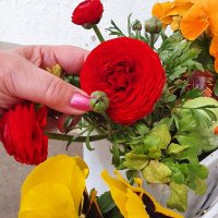 Дамские пальчики и цветы :: Борис 