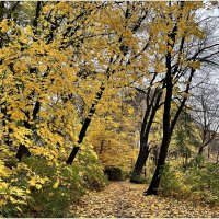 Осенний парк. :: Валерия Комова
