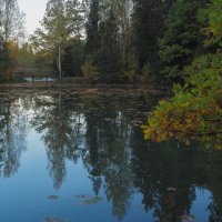 У Тихой Воды :: юрий поляков