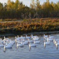 На рыбалке :: Наталья 