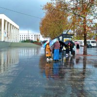 У  природы  нет  плохой  погоды :: Валентин Семчишин