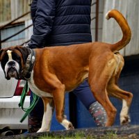 Здравствуй  это  Я :: Вадим   Гераскин 