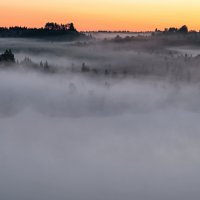Туманное утро :: Виктор Желенговский
