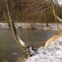 Припорошенный берег :: Андрей Снегерёв