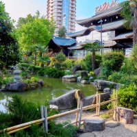 Сочи. Отель Кайлас. Японский парк. Весна 2023 года. :: Николай Николенко