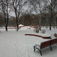 Зима. Фотограф торжествует :: Андрей Лукьянов