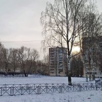 Холодное ноябрьское солнце. :: Мария Васильева