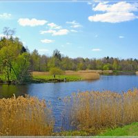 Весна на Филькином озере. :: Лия ☼