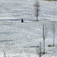 Одинокая фигура на снегу :: Valeriy(Валерий) Сергиенко