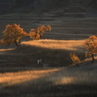 Теплое осеннее утро :: Анатолий Гордиенко