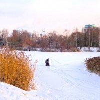 Зимний день в конце ноября... :: Sergey Gordoff