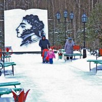 Декабрь в городском парке Пыть-Яха. :: Владимир 