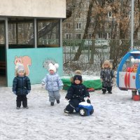 "Молодая гвардия" на прогулке :: Ольга Довженко