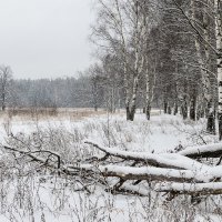 Снегопад. :: Андрей Андрианов